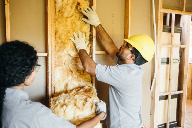 Best Blown-In Insulation  in Lansing, KS